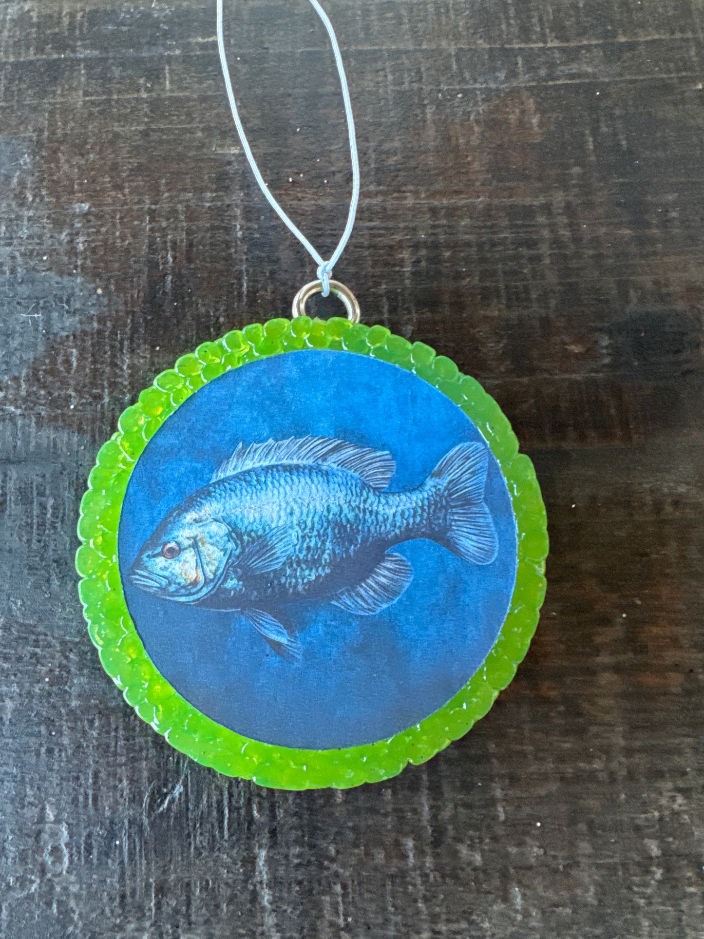 Green/Blue Fish Car Freshie